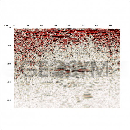 geosym reflectionseismics vibroseis elvis s wave shear wave 04