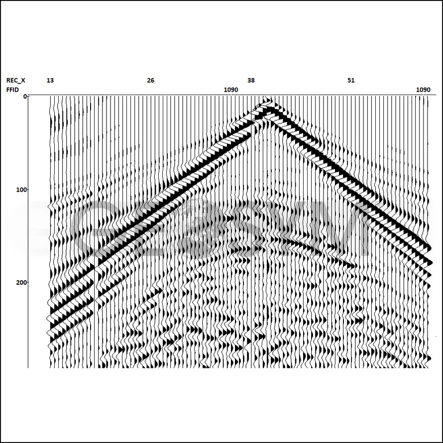 Shear waves – Geosym Photo 2